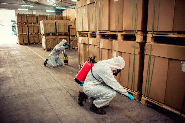 Best Pest Removal Services  in Lake Park, IA