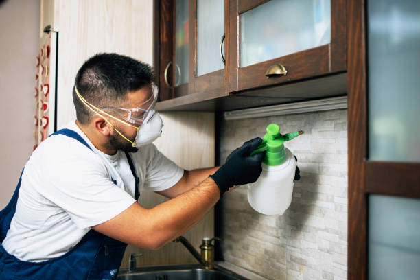 Best Mosquito Control Services  in Lake Park, IA