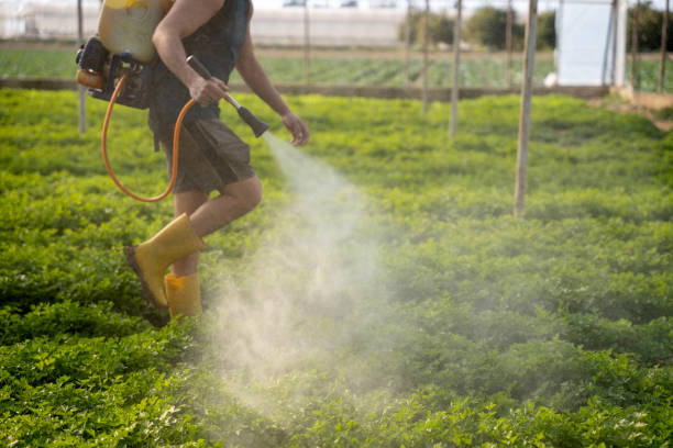 Best Residential Pest Control  in Lake Park, IA