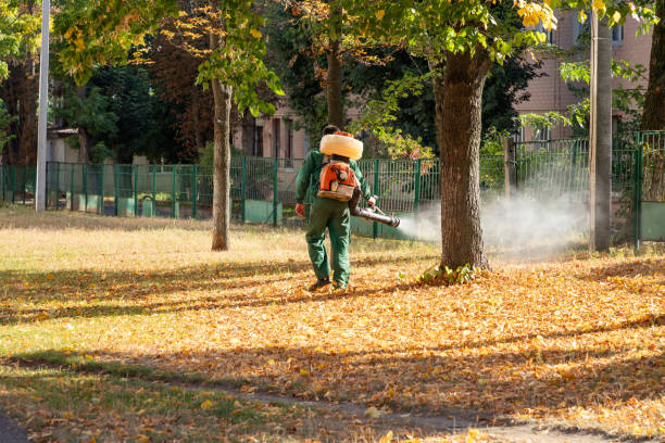 Best Affordable Pest Control Services  in Lake Park, IA