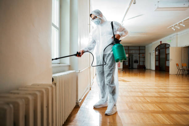 Best Exterminator Services  in Lake Park, IA