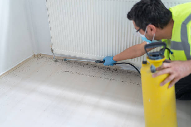Best Termite Control Services  in Lake Park, IA